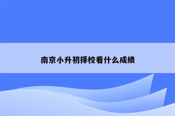 南京小升初择校看什么成绩