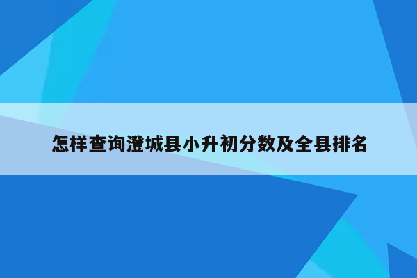 怎样查询澄城县小升初分数及全县排名