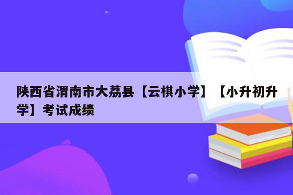 陕西省渭南市大荔县【云棋小学】【小升初升学】考试成绩