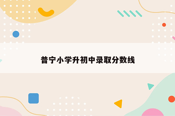 普宁小学升初中录取分数线