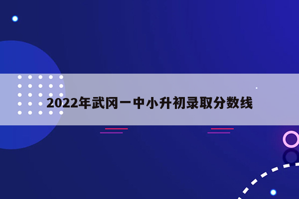 2022年武冈一中小升初录取分数线