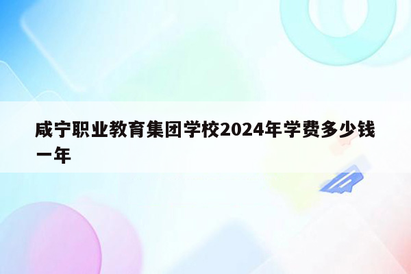 咸宁职业教育集团学校2024年学费多少钱一年