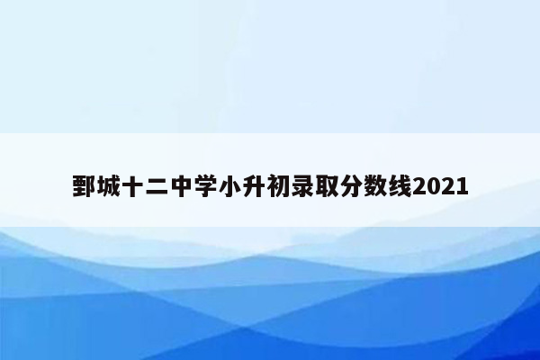 鄄城十二中学小升初录取分数线2021