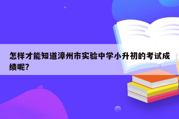 怎样才能知道漳州市实验中学小升初的考试成绩呢?