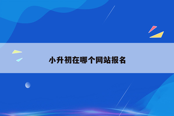 小升初在哪个网站报名