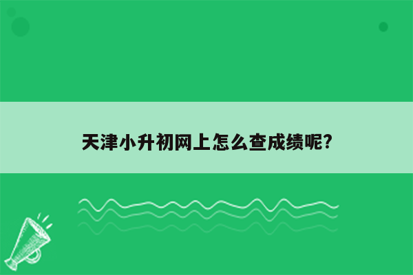 天津小升初网上怎么查成绩呢?