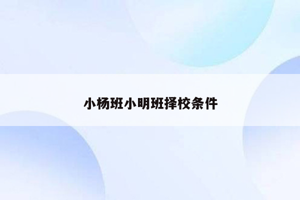 小杨班小明班择校条件