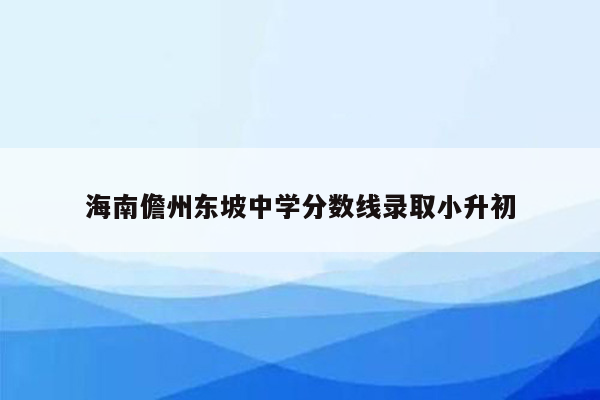 海南儋州东坡中学分数线录取小升初