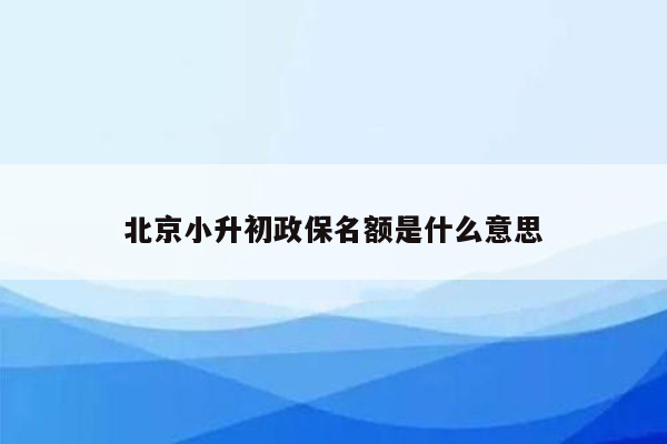 北京小升初政保名额是什么意思