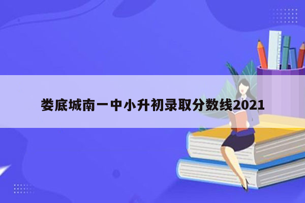 娄底城南一中小升初录取分数线2021