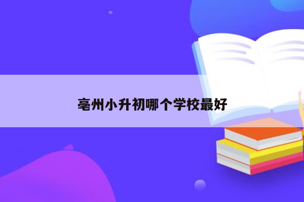 亳州小升初哪个学校最好