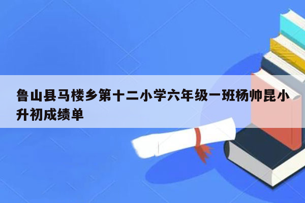 鲁山县马楼乡第十二小学六年级一班杨帅昆小升初成绩单