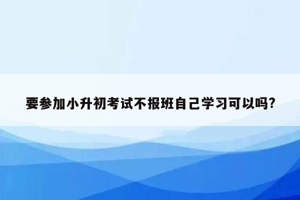 要参加小升初考试不报班自己学习可以吗?