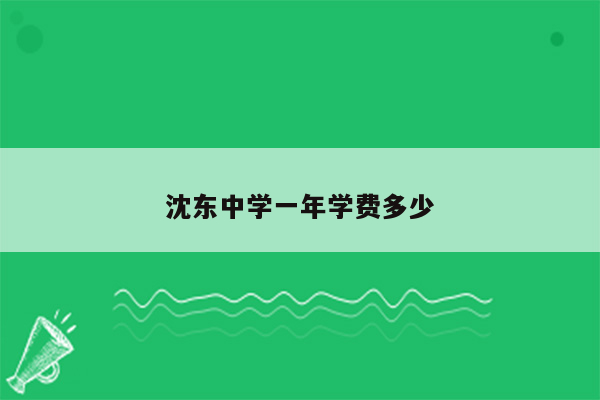 沈东中学一年学费多少