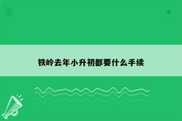 铁岭去年小升初都要什么手续