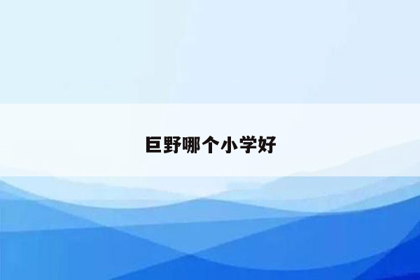 巨野哪个小学好