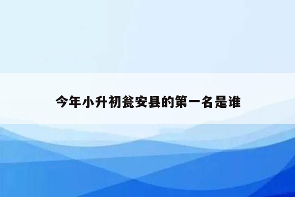 今年小升初瓮安县的第一名是谁