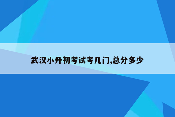 武汉小升初考试考几门,总分多少