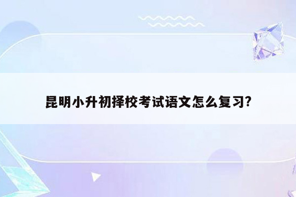 昆明小升初择校考试语文怎么复习?