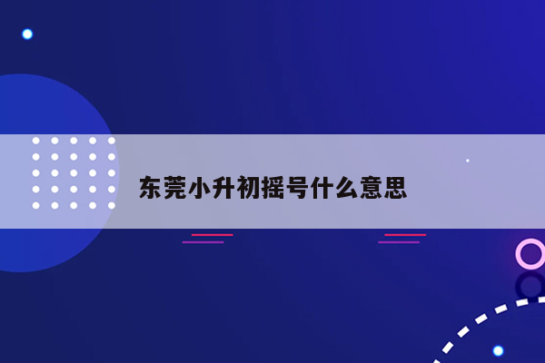 东莞小升初摇号什么意思