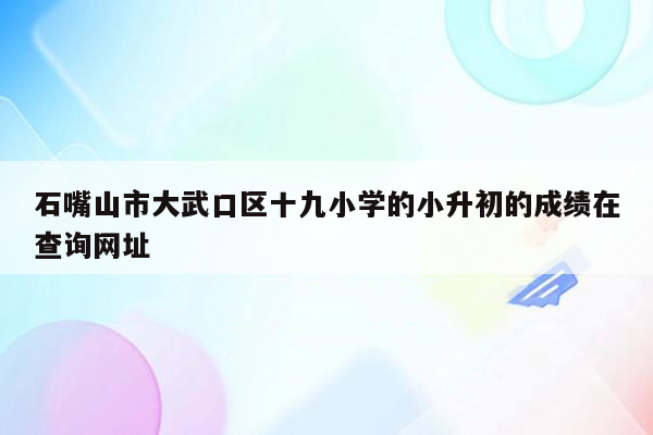 石嘴山市大武口区十九小学的小升初的成绩在查询网址