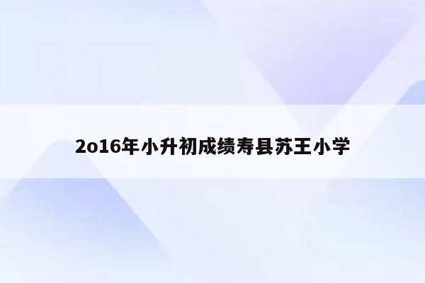 2o16年小升初成绩寿县苏王小学