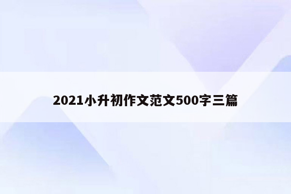 2021小升初作文范文500字三篇