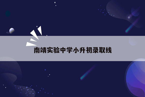 南靖实验中学小升初录取线