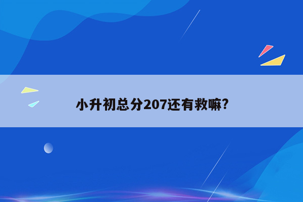 小升初总分207还有救嘛?