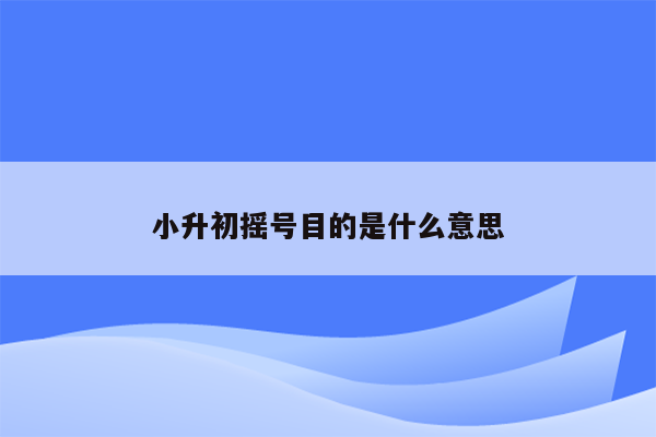 小升初摇号目的是什么意思