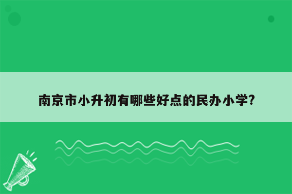 南京市小升初有哪些好点的民办小学?