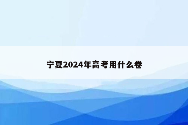 宁夏2024年高考用什么卷