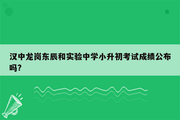 汉中龙岗东辰和实验中学小升初考试成绩公布吗?