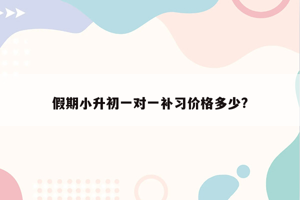 假期小升初一对一补习价格多少?