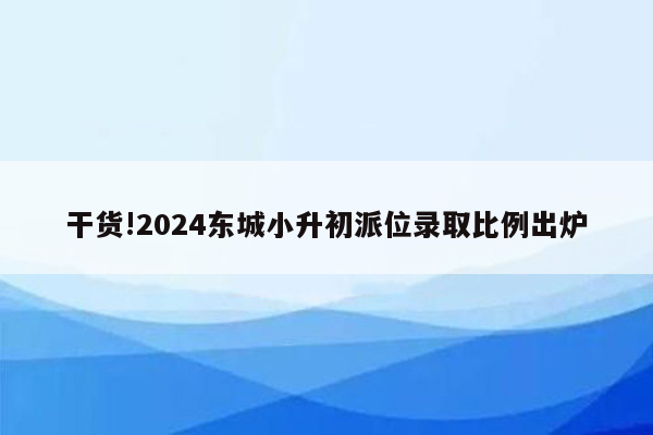 干货!2024东城小升初派位录取比例出炉