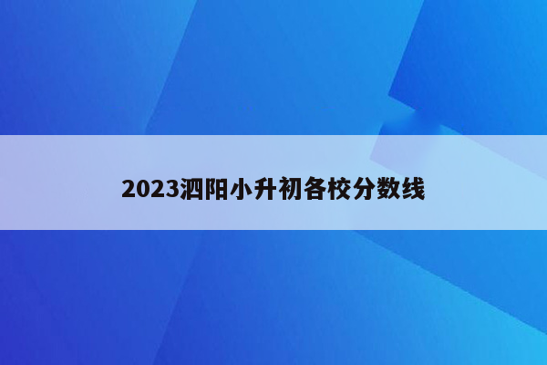 2023泗阳小升初各校分数线