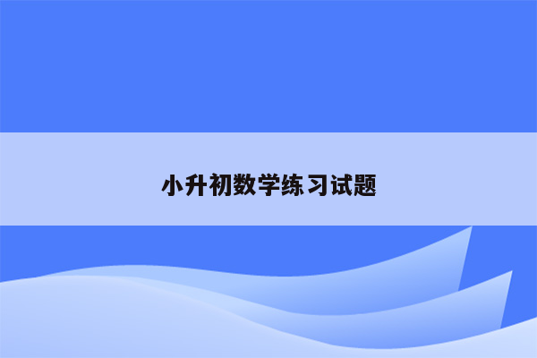 小升初数学练习试题