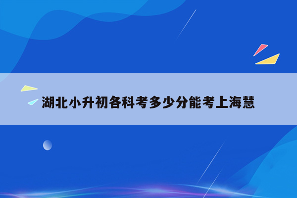 湖北小升初各科考多少分能考上海慧