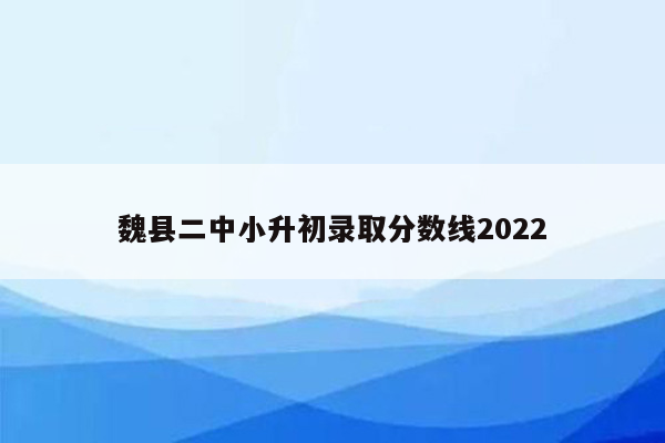 魏县二中小升初录取分数线2022