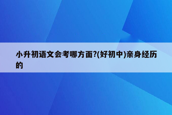 小升初语文会考哪方面?(好初中)亲身经历的