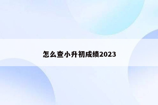 怎么查小升初成绩2023