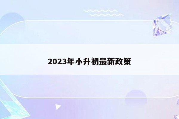 2023年小升初最新政策