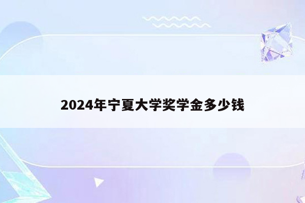 2024年宁夏大学奖学金多少钱