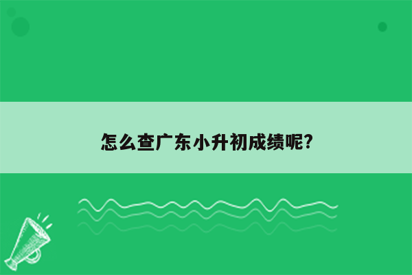 怎么查广东小升初成绩呢?