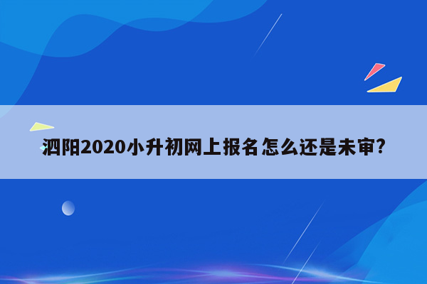 泗阳2020小升初网上报名怎么还是未审?