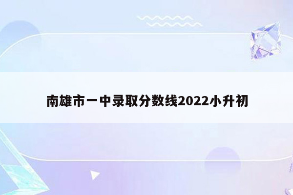 南雄市一中录取分数线2022小升初