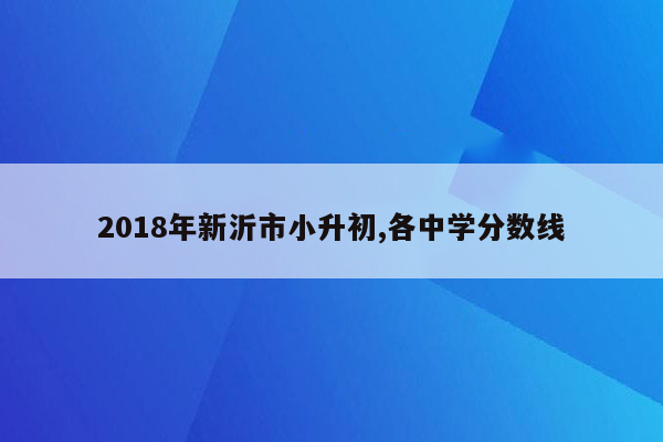 2018年新沂市小升初,各中学分数线