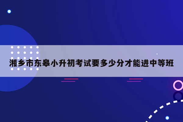 湘乡市东皋小升初考试要多少分才能进中等班