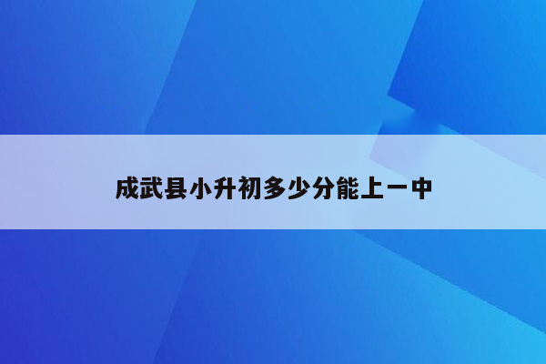 成武县小升初多少分能上一中