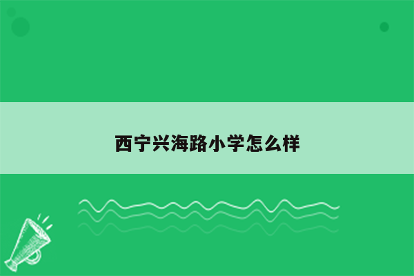 西宁兴海路小学怎么样